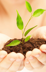 Similar image 487784