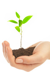 Similar image 487790