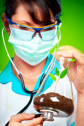 Similar image 487871