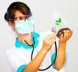 Similar image 487875