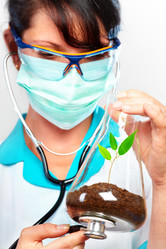 Similar image 487890