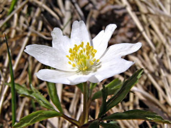 Similar image 487902