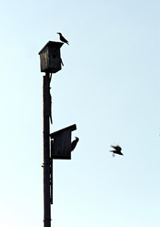 Similar image 487906