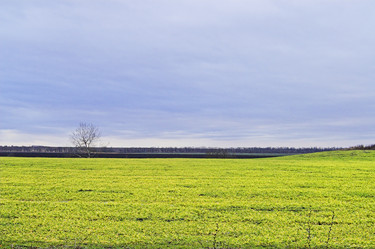 Similar image 488155