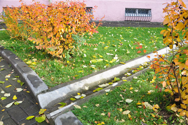 Similar image 488274