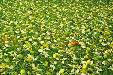 Similar image 488278