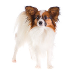 Similar image 488359