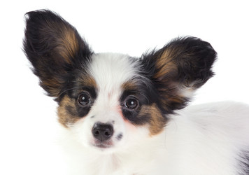 Similar image 488361