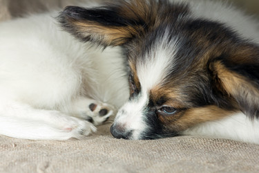 Similar image 488362