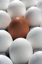 Similar image 488365