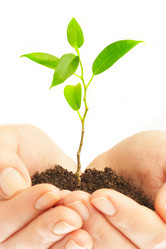 Similar image 488367