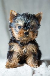 Similar image 488387