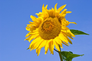 Similar image 488477