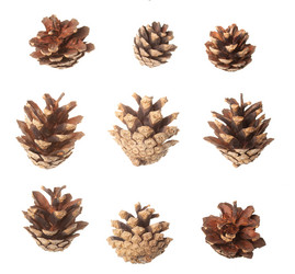 Similar image 488481