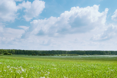 Similar image 488545