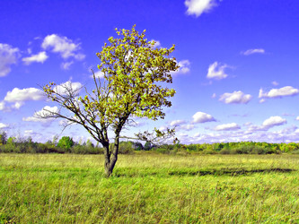 Similar image 488580