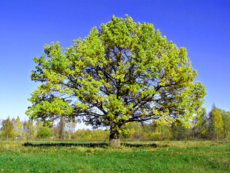 Similar image 488582