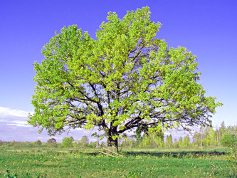 Similar image 488584