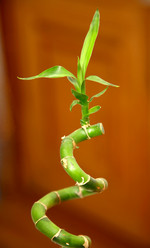 Similar image 488611