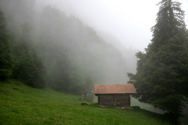 Similar image 488621