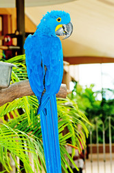 Similar image 488683