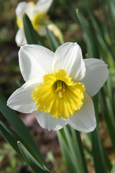 Similar image 488699