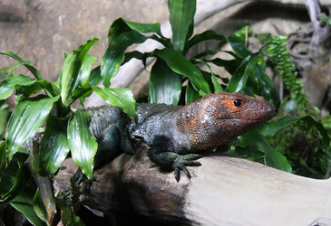 Similar image 488702