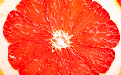 Similar image 488749