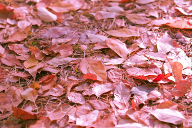 Similar image 488757