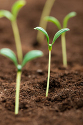 Similar image 488833