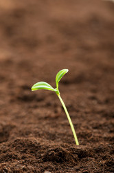 Similar image 488835