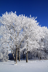 Similar image 488836