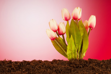 Similar image 488838