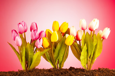 Similar image 488841