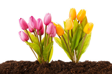 Similar image 488842