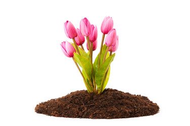 Similar image 488843