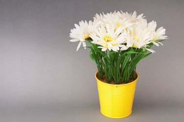 Similar image 488845