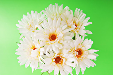 Similar image 488847