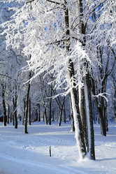 Similar image 488852