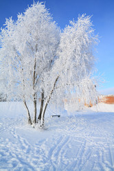 Similar image 488857