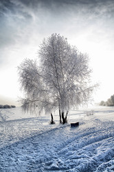 Similar image 488864