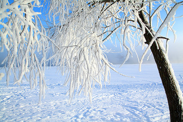 Similar image 488881