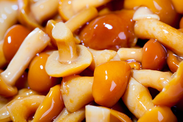 Similar image 488888