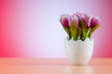 Similar image 488911