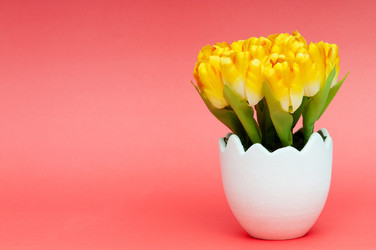 Similar image 488914