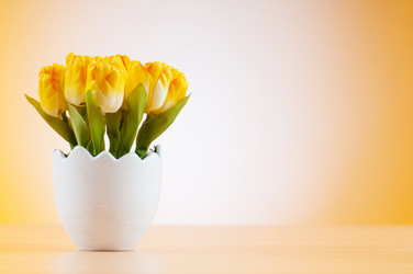 Similar image 488915