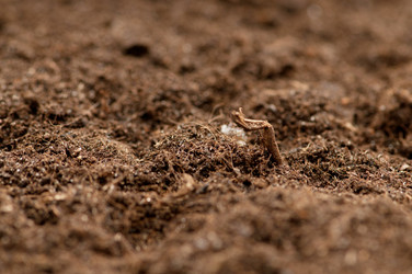 Similar image 488984