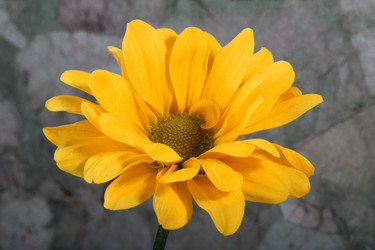 Similar image 489200