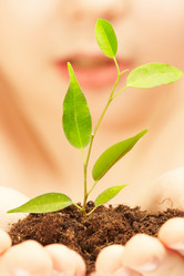 Similar image 489220