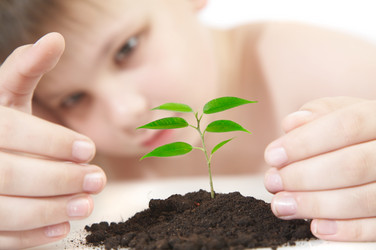 Similar image 489240